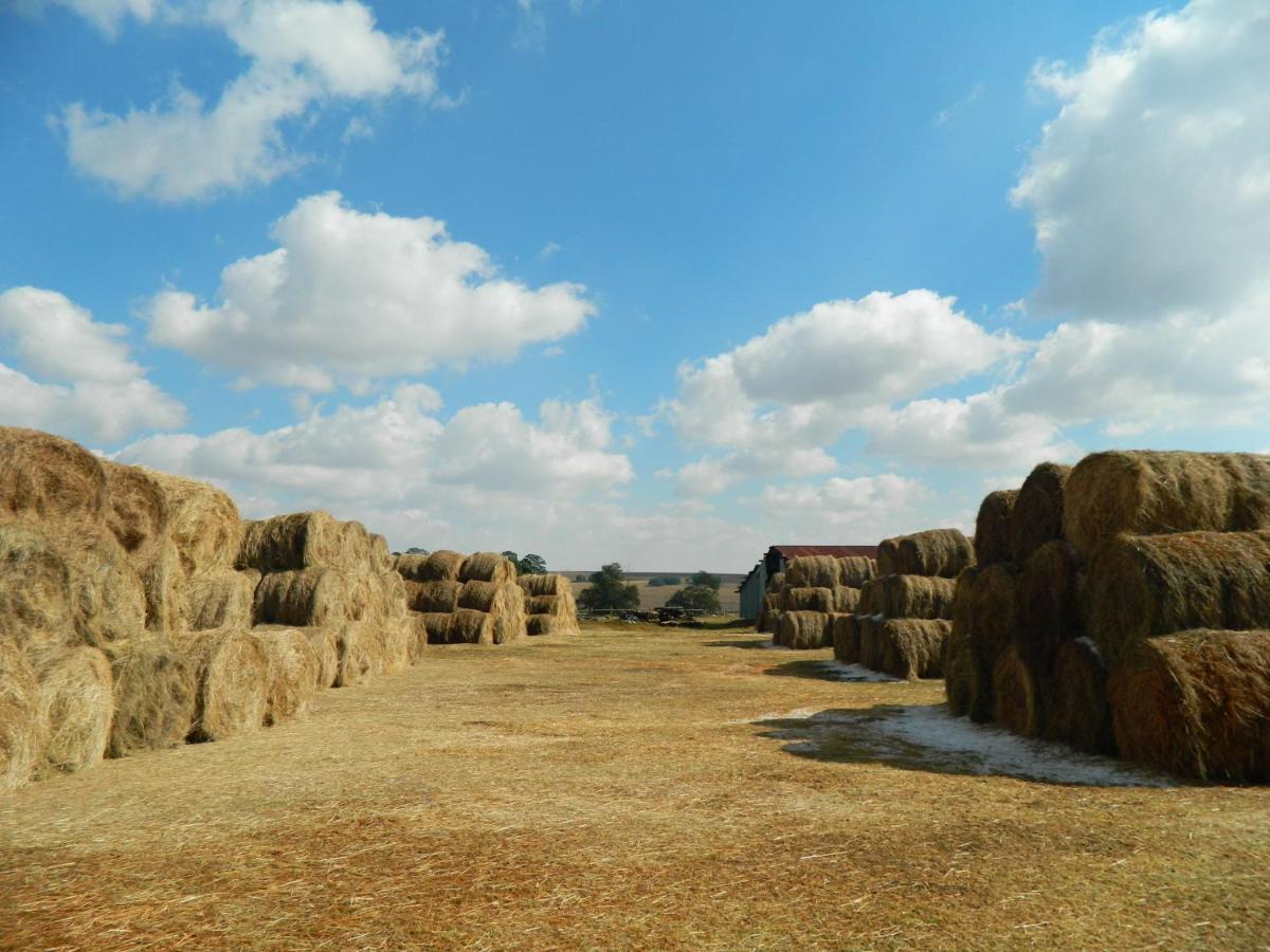 La Vista Farm Stay Эрмело Экстерьер фото