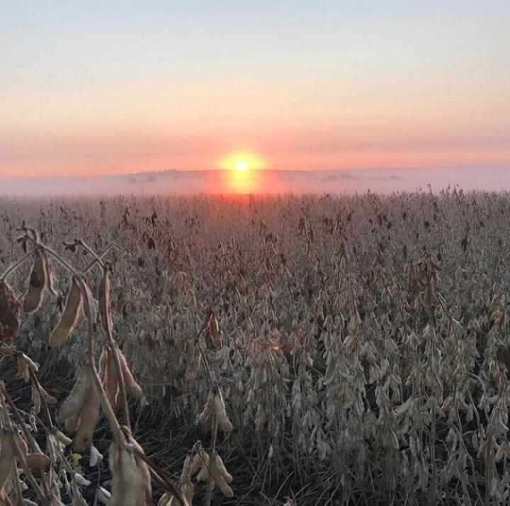 La Vista Farm Stay Эрмело Экстерьер фото