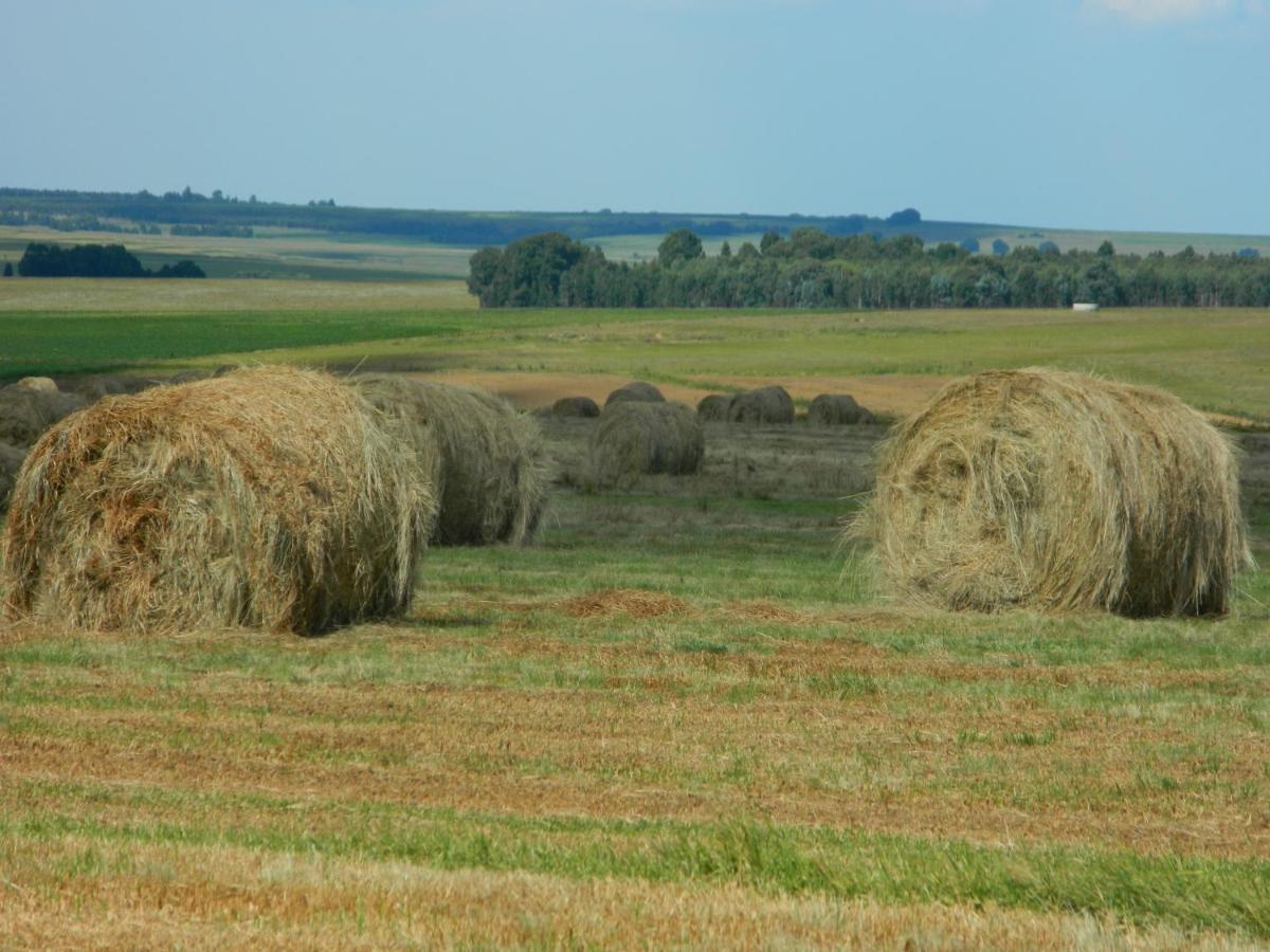 La Vista Farm Stay Эрмело Экстерьер фото